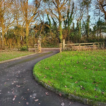 Beech Lodge,garden