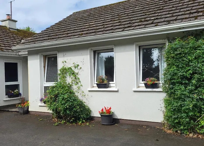 公寓 Beech Lodge,garden *